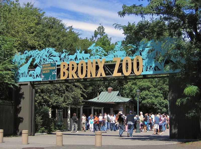 Bronx Zoo — Boo at the Zoo, New York