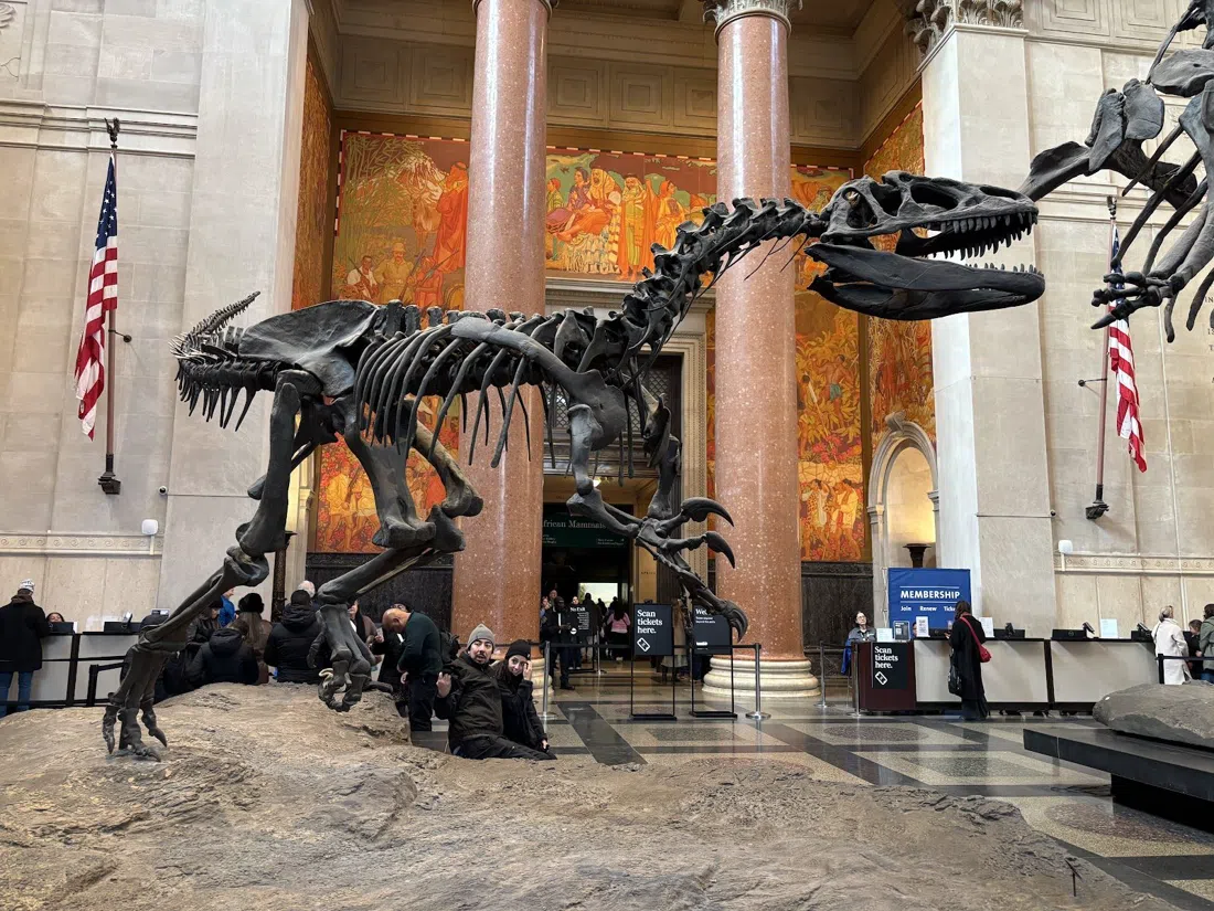 American Museum of Natural History, New York