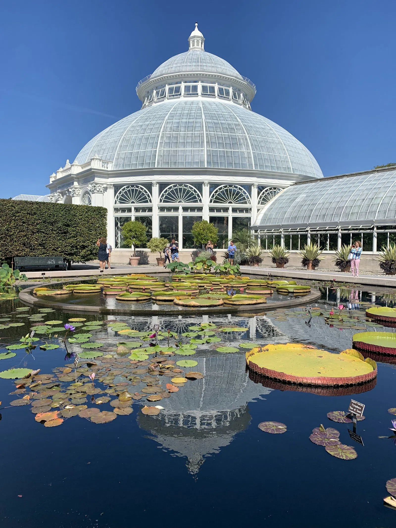The New York Botanical Garden, New York